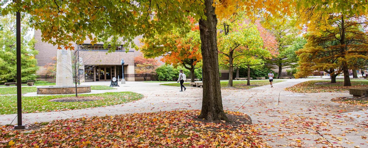 Autumn day on campus.